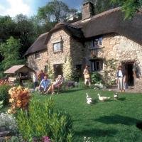 Dartmoor Cottage